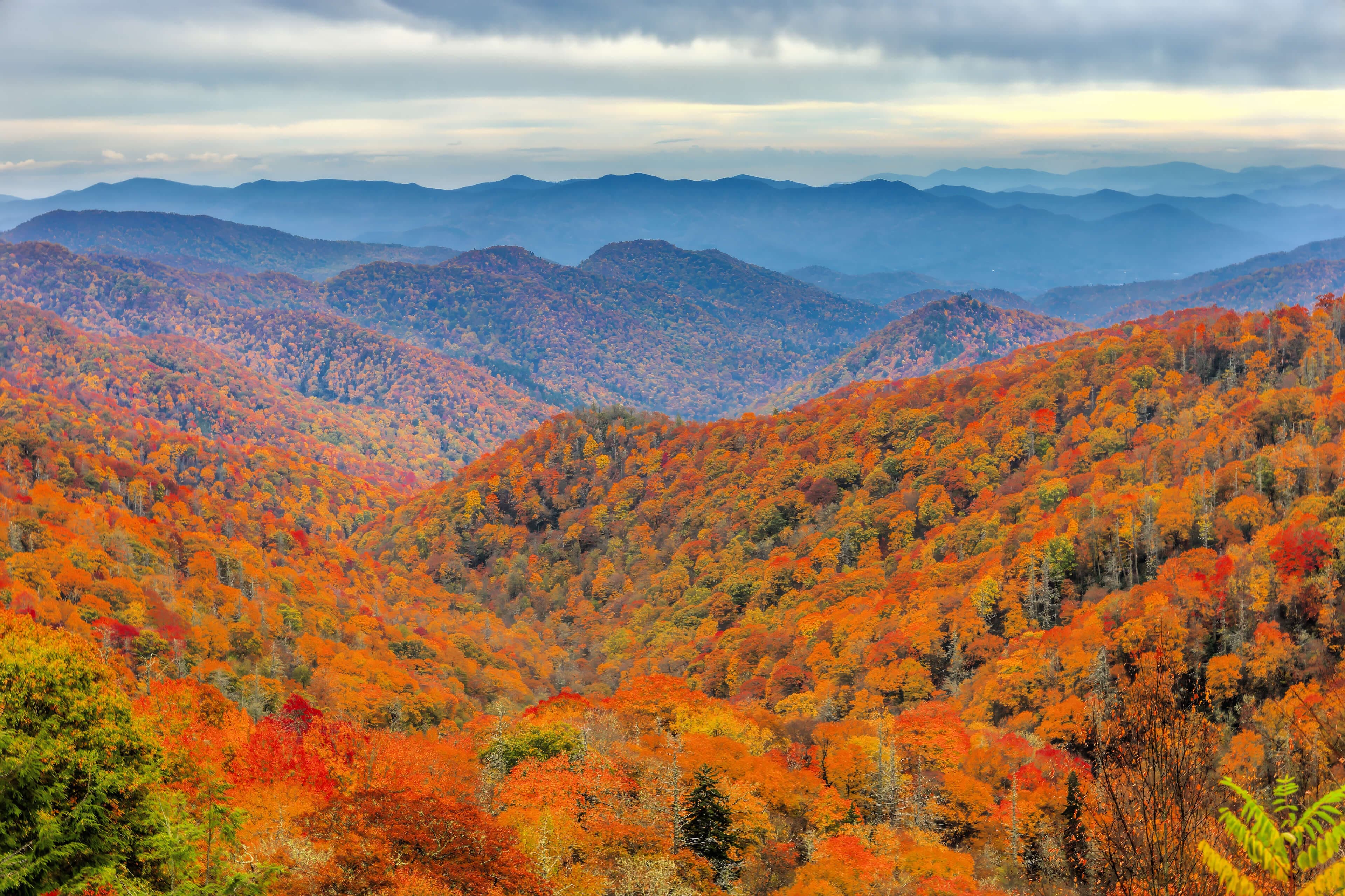 Overlooking the Nature in Pigeon Forge, Tennessee